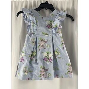 Janie and Jack Periwinkle Ruffle Sleeve Floral Dress Size 2T